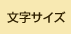 文字サイズ