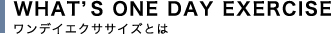 WHAT’S ONE DAY EXERCISE ワンデイエクササイズとは