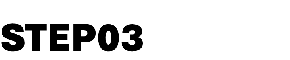 STEP03